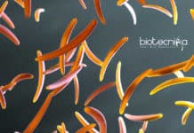 ICMR-NIRTH Life Science Project Research Assistant Job ICMR-NIRTH Life Science Project