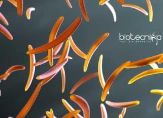 ICMR-NIRTH Life Science Project