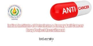 IIPE Jobs