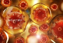 IISER Kolkata Mol Bio & Biochemistry Research Fellow Job IISER Kolkata Mol Bio