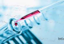 SRM Institute of Science and Technology Life Sciences Scientific Officer Recruitment Life Science Scientific Officers