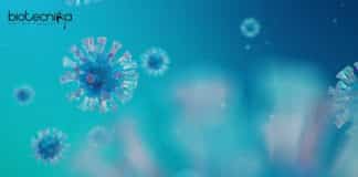 Life Sciences Research Fellow