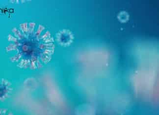 Life Sciences Research Fellow