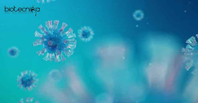 Life Sciences Research Fellow