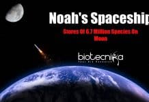 Moon Gene Bank: Researchers Wants To Send 335 Million Sperm & Egg Samples To Moon Lunar Noah's Ark, solar-powered lunar ark