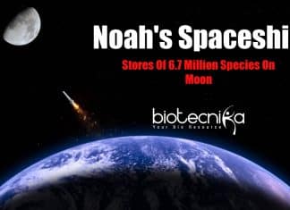 Lunar Noah's Ark, solar-powered lunar ark