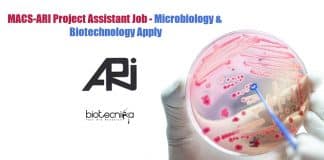 MACS-ARI Project Assistant Job