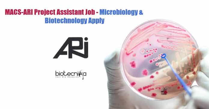 MACS-ARI Project Assistant Job