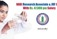 NABI Research Associate & JRF Jobs With Rs. 47,000 pm Salary NABI Vacancies