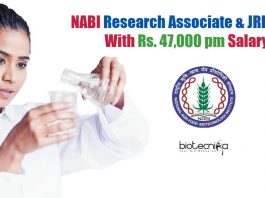 NABI Vacancies