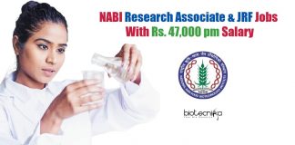 NABI Vacancies