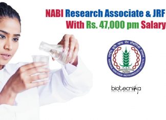 NABI Vacancies