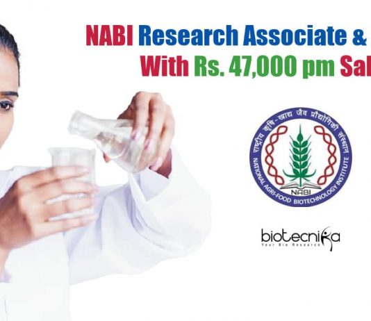 NABI Vacancies
