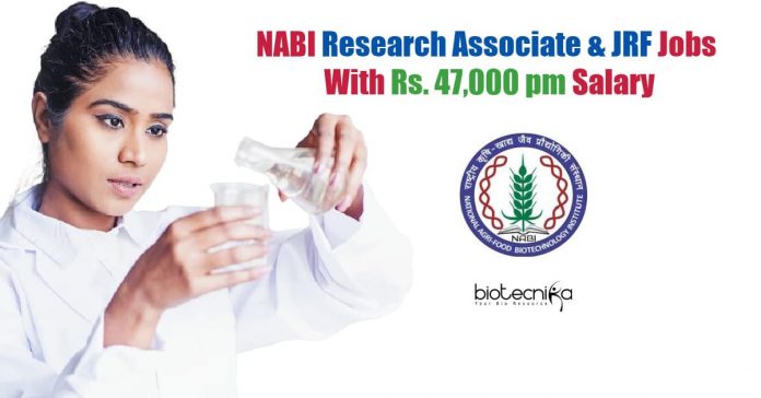 NABI Vacancies