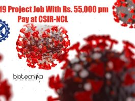 NCL Pune Jobs 2021