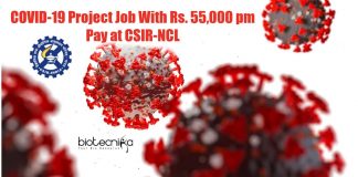 NCL Pune Jobs 2021