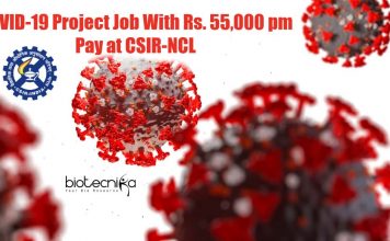 NCL Pune Jobs 2021