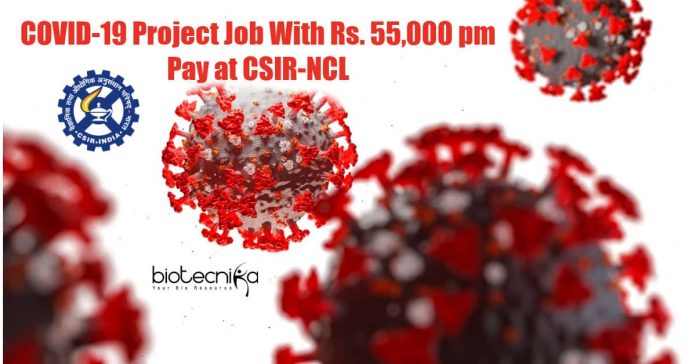 NCL Pune Jobs 2021