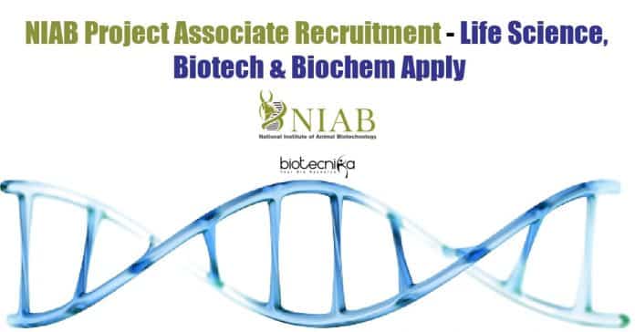 NIAB Project Associate Recruitment