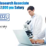 NIBMG Jobs -