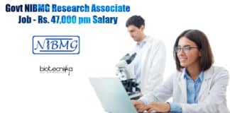 NIBMG Jobs -