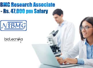 NIBMG Jobs -