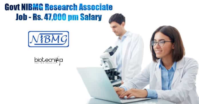 NIBMG Jobs -
