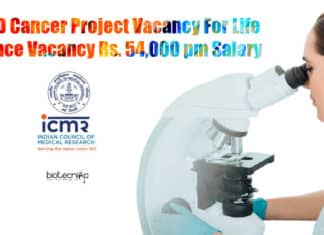 NICED Vacancy For Life