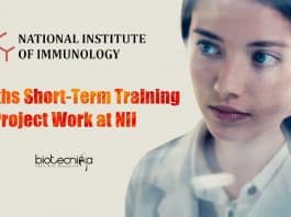 NII Short-term Training 2021