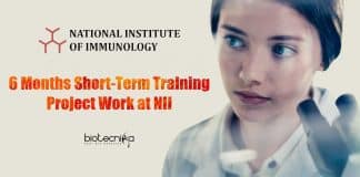 NII Short-term Training 2021