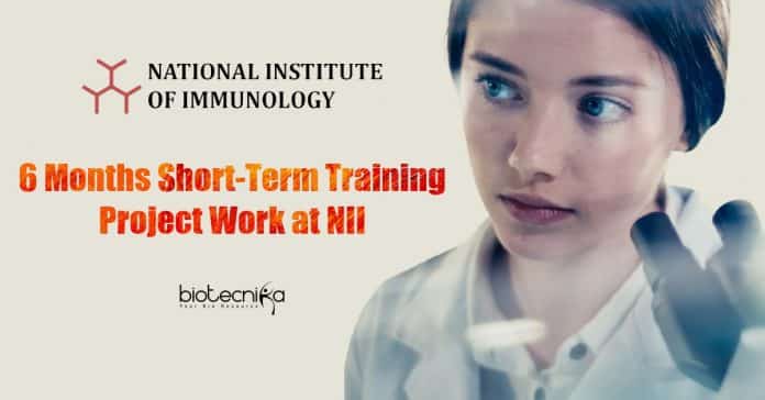 NII Short-term Training 2021