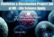 Flavivirus & Vaccination Project Job at NII – Life Science Apply NII Vacancies For PhD.