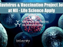 NII Vacancies For PhD.