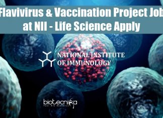 NII Vacancies For PhD.