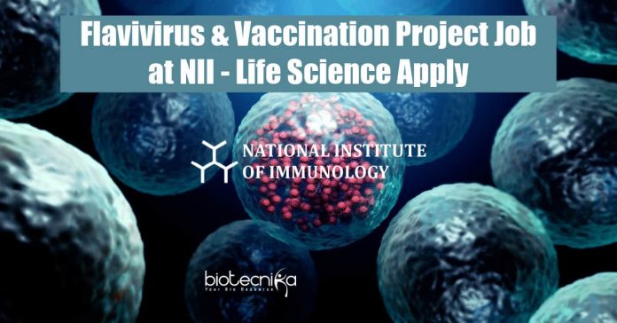 NII Vacancies For PhD.