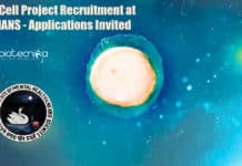 NIMHANS Job Openings For