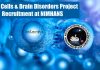 Stem Cells & Brain Disorders Project Recruitment at NIMHANS NIMHANS SRF Job Opening