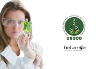 NIPGR Research Associate Vacancy