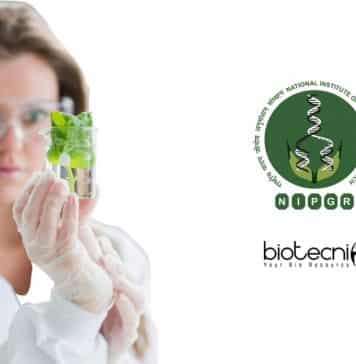 NIPGR Research Associate Vacancy