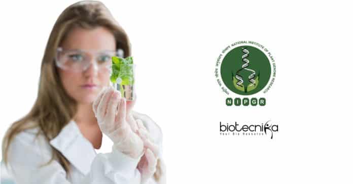 NIPGR Research Associate Vacancy