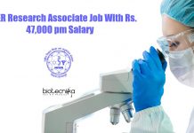 NISER Research Associate Job With Rs. 47,000 pm Salary NISER Research Associate Job