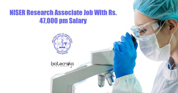 NISER Research Associate Job