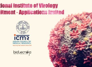 NIV Jobs