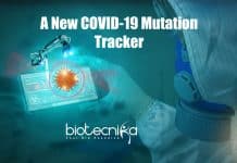 Indian Researchers Develops A Computational Tool To Trace COVID-19 Mutations Globally New Computational Tool To Track COVID-19, COVI-19 Mutation tracker