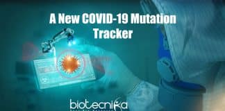 New Computational Tool To Track COVID-19, COVI-19 Mutation tracker