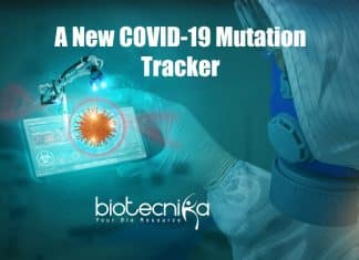 New Computational Tool To Track COVID-19, COVI-19 Mutation tracker