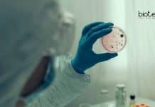 Panjab University Antimicrobial Resistance Project Recruitment Panjab University Vacancy