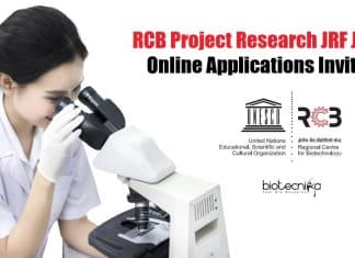 RCB Project Research JRF