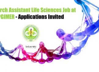 Research Assistant Life Sciences Job at PGIMER – Applications Invited Research Assistant Life Sciences