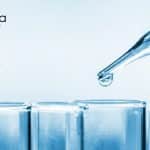 Senior Research Fellow Job